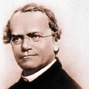 Gregor Mendel