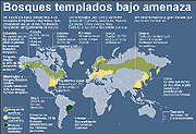 bosques