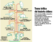 trama trofica