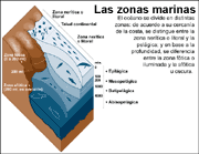 zonas marinas