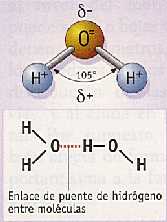 Figura 3-8 > Enlace de puente de hidrgeno entre molculas