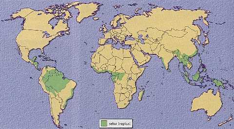 Figura 12-5 > Selvas tropicales en el mundo