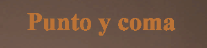 Punto y coma